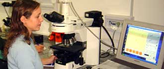 Laboratorio de Microscopía